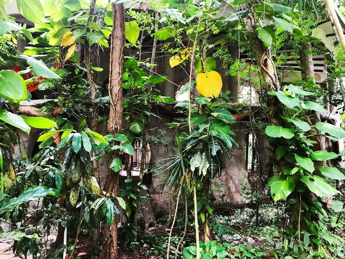 Portal Xibalba Hotel Playa del Carmen Mexico